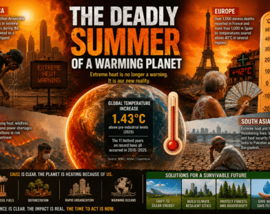 The Deadly Summer