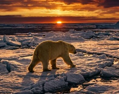 Earth’s second-warmest June on record;